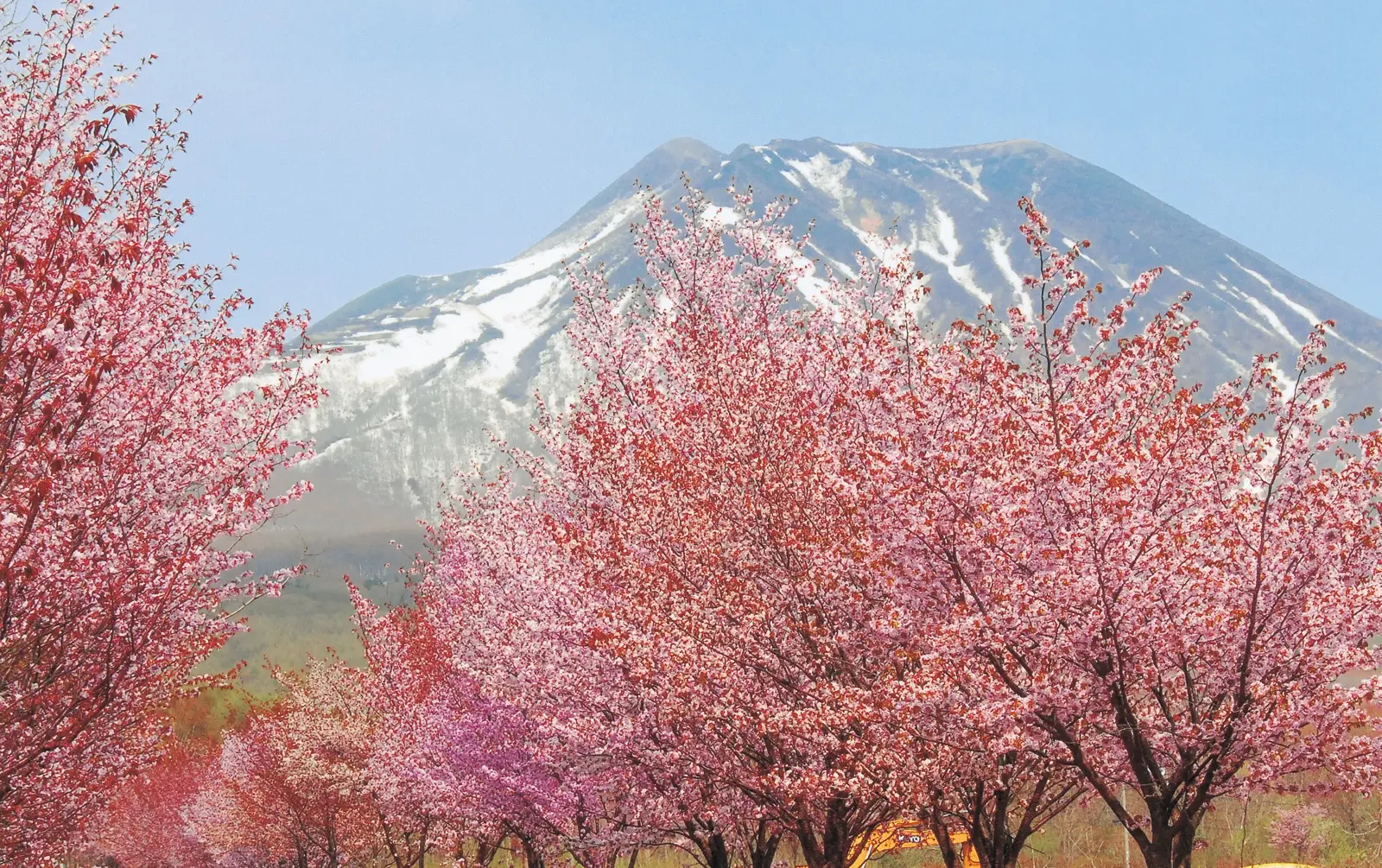 岩木山