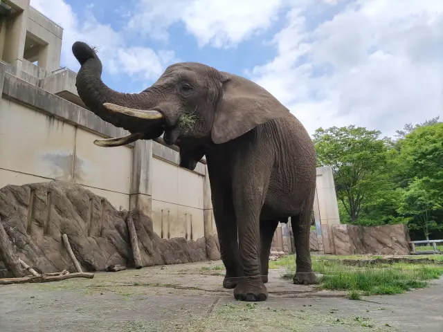 盛岡市動物公園 ZOOMO