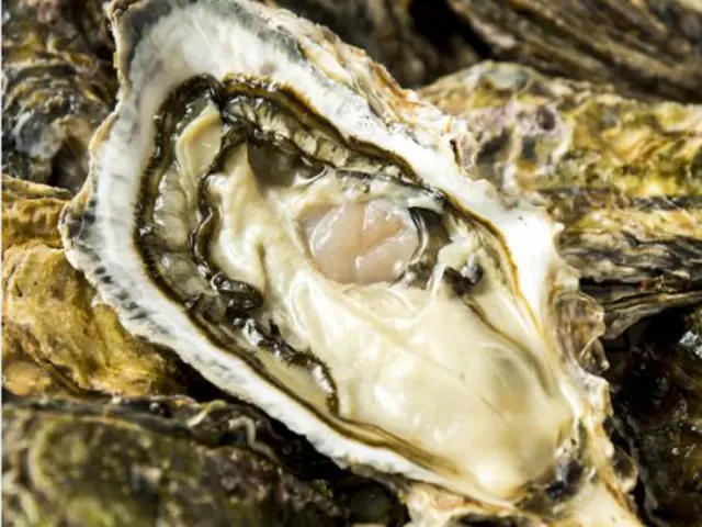 冬だけでなく一年を通して「牡蠣」が味わえる