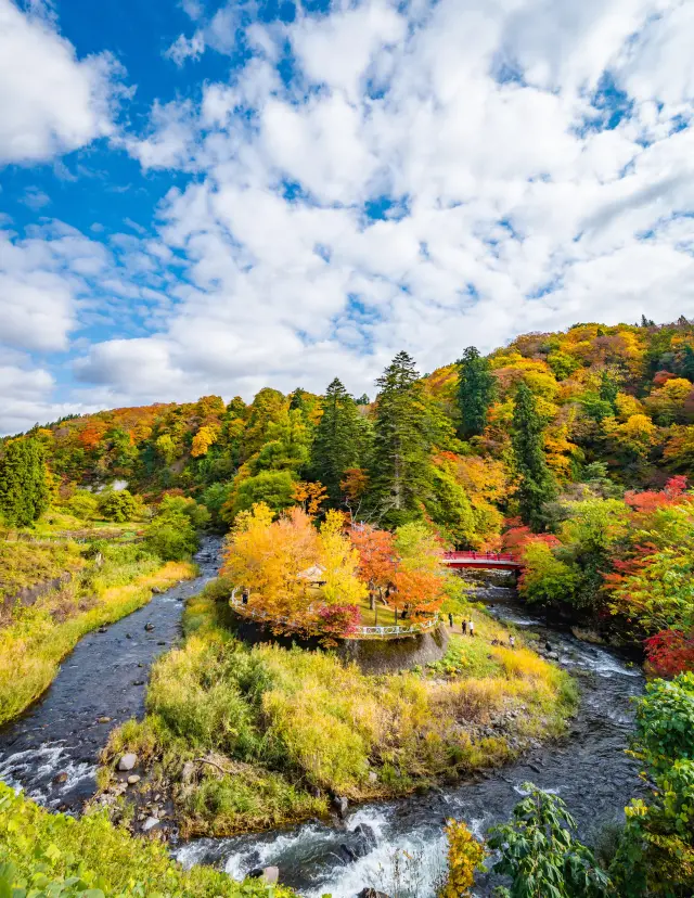 中野もみじ山