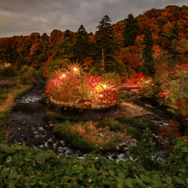 紅葉の見頃の時期にはライトアップも