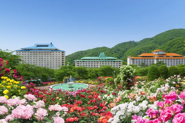 花巻温泉バラ園