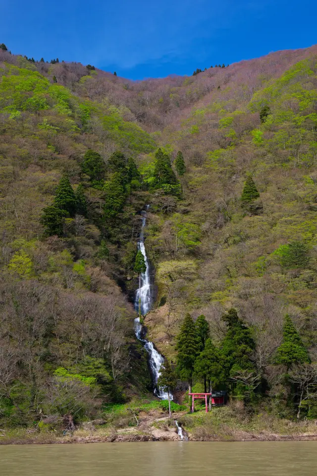 細く繊細な糸の筋のように見える白糸の滝
