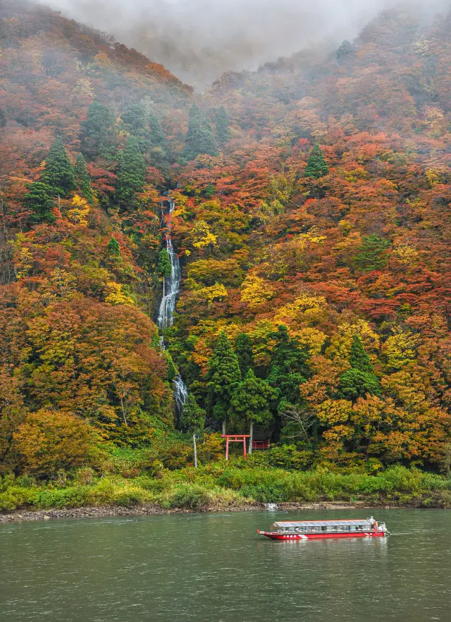 秋は周辺の木々が色づき、紅葉と滝とのコントラストも魅力