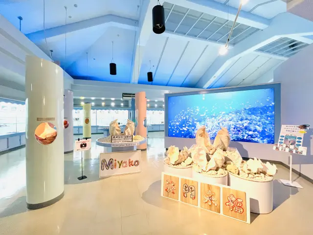 宮古島海宝館