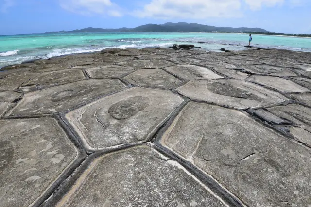 約600万年前にできた奇岩群「奧武島の畳石」