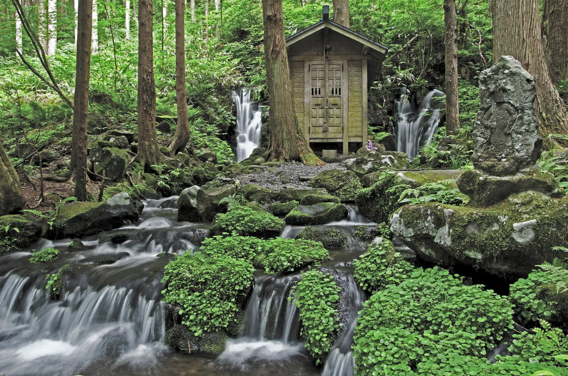 胴腹滝