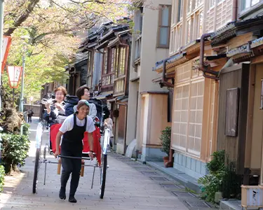 城下町の歴史や見どころを聞きながら巡る