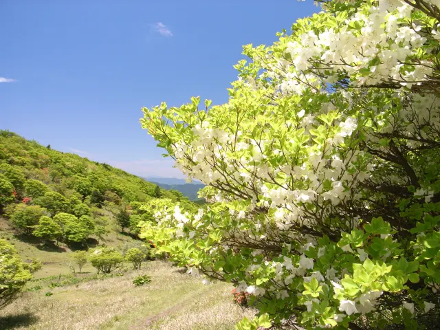 三峰山