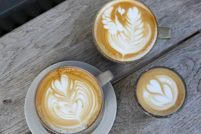 VERVE COFFEE ROASTERS 鎌倉雪ノ下