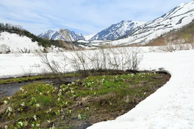 自然園がオープンする5月は残雪に覆われる