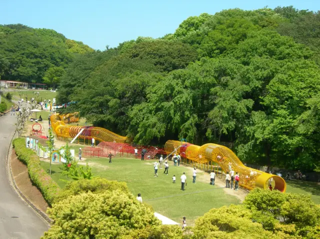 思いっきり遊べる大型遊具もそろう