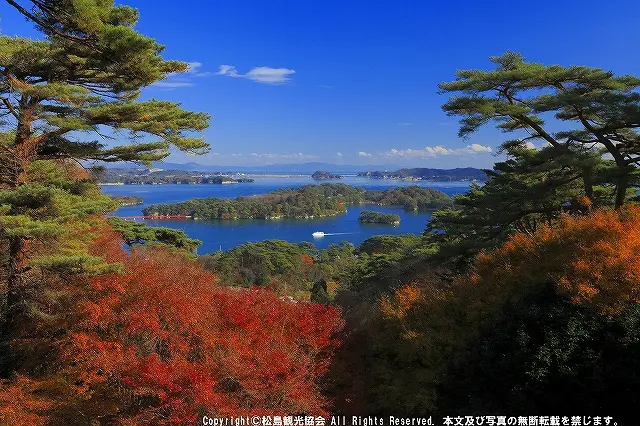 秋の紅葉も見事　画像提供：（一社）松島観光協会