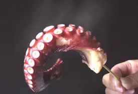 やわらかく、プリッとした食感がクセになる「タコ」