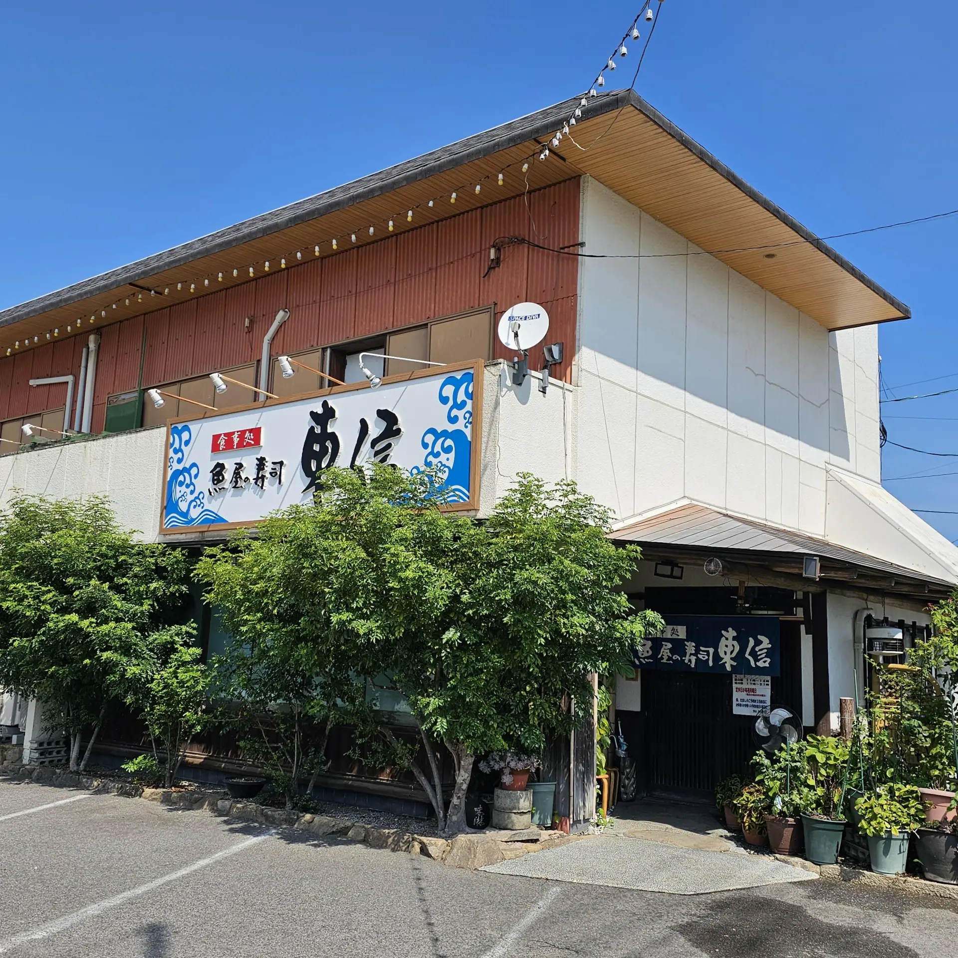 魚屋 の 寿司 東信