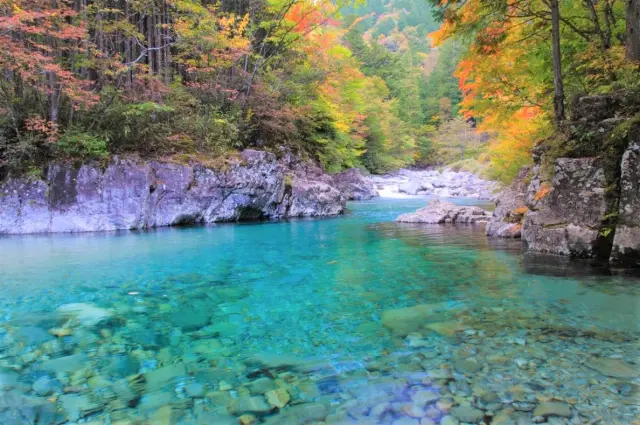 錦色に彩られた秋の紅葉とのコントラストも素晴らしい