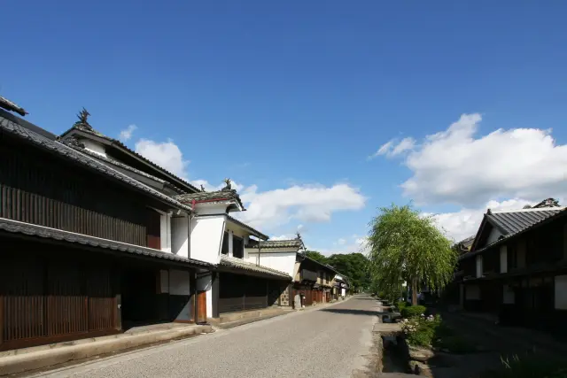 江戸時代の遺構と明治以降の建築物が調和した独特の景観が見事