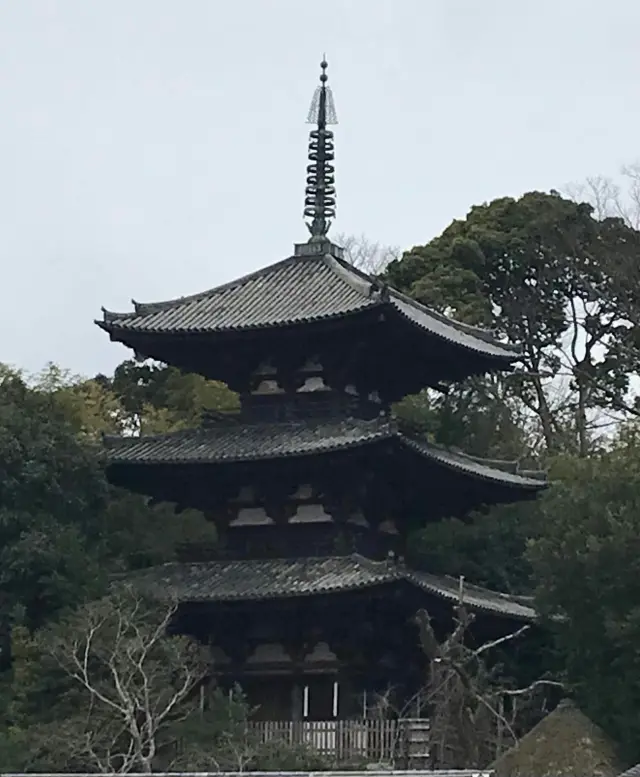 日本に唯一残る東西両塔（東塔）