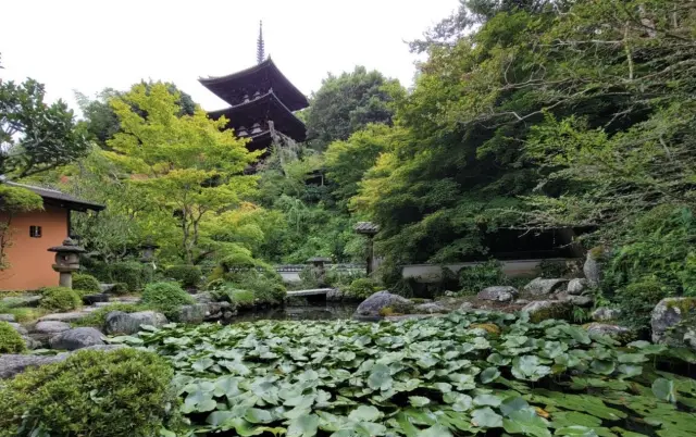 国指定史跡の中之坊の庭園