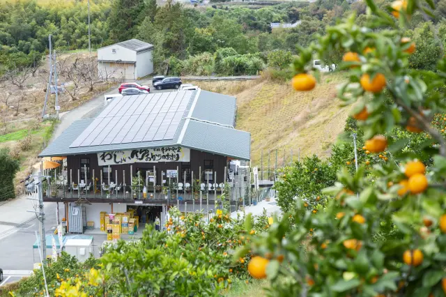 店舗は果樹園や自然林に囲まれている