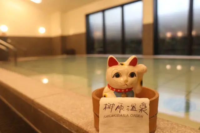 旅館や日帰り温泉、砂風呂など多彩な施設が集まる