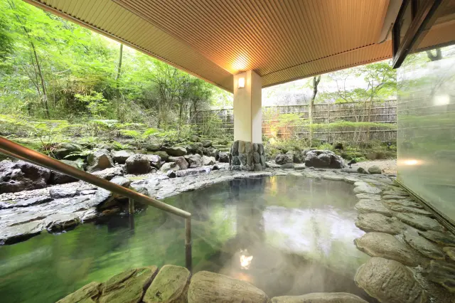 裏山の景色を目前にした露天風呂