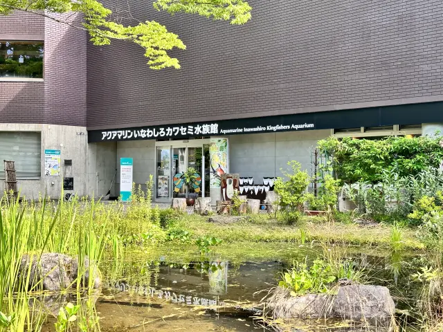 福島県の水辺環境の現状について学べる水族館