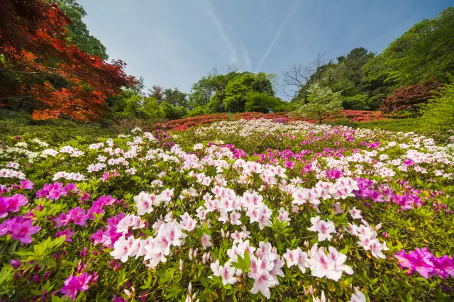 卯辰山公園
