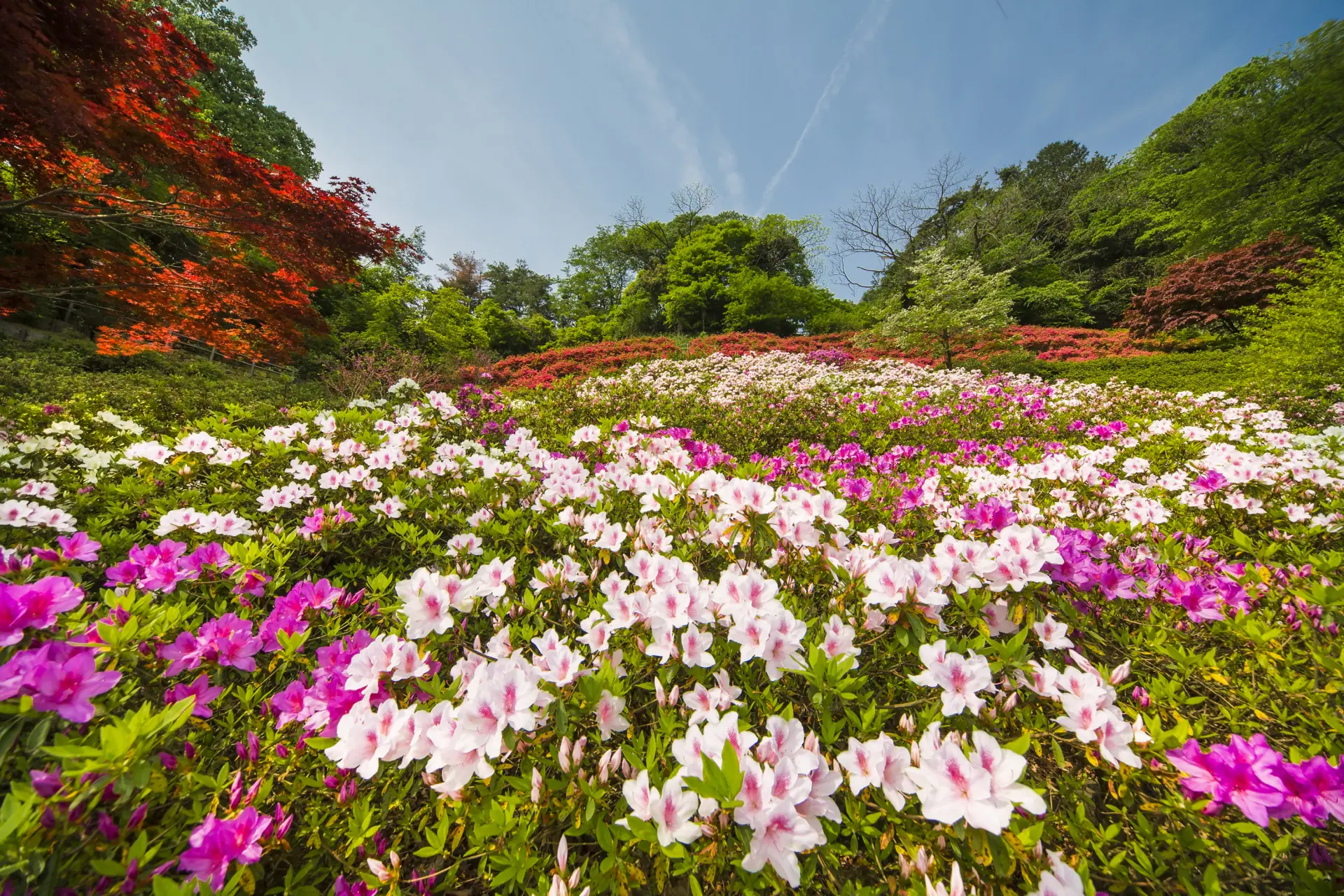 卯辰山公園