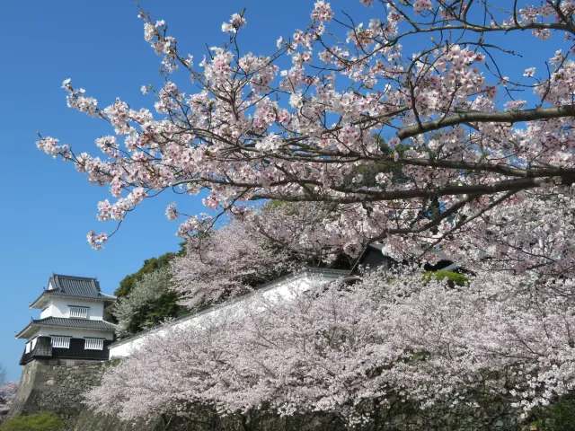 大村公園