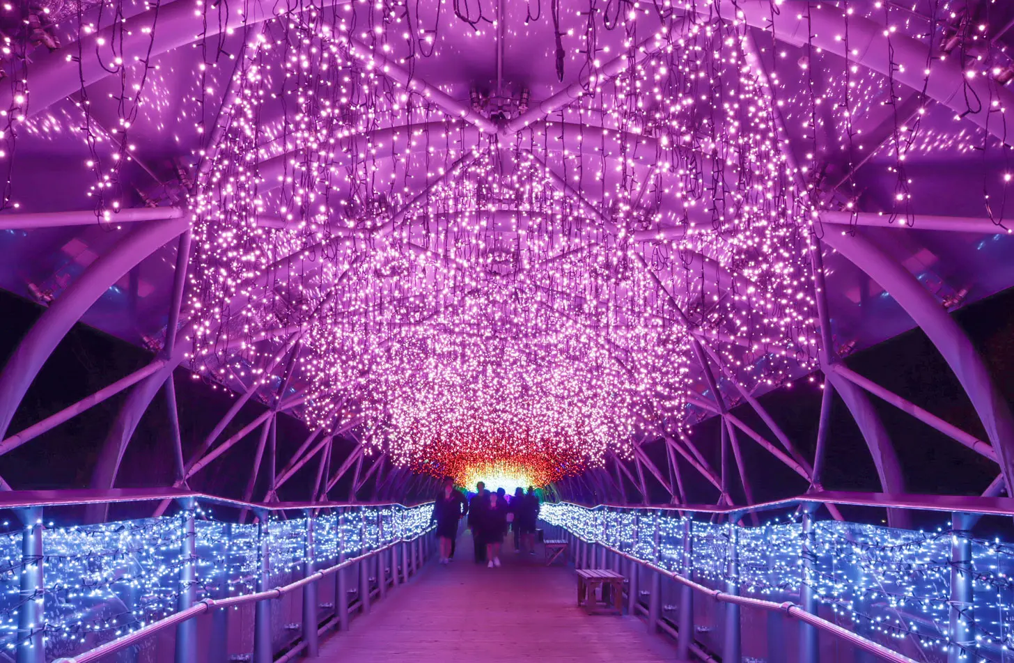 1)　夜のイルミネーション ネイキッド×東京タワー 春の夜景が桜色に染まるマッピングショー