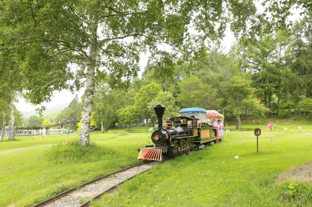 パターゴルフなどエリアを1周する森林鉄道