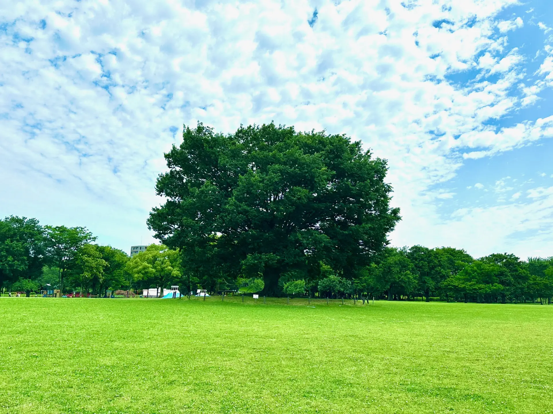 庄内緑地