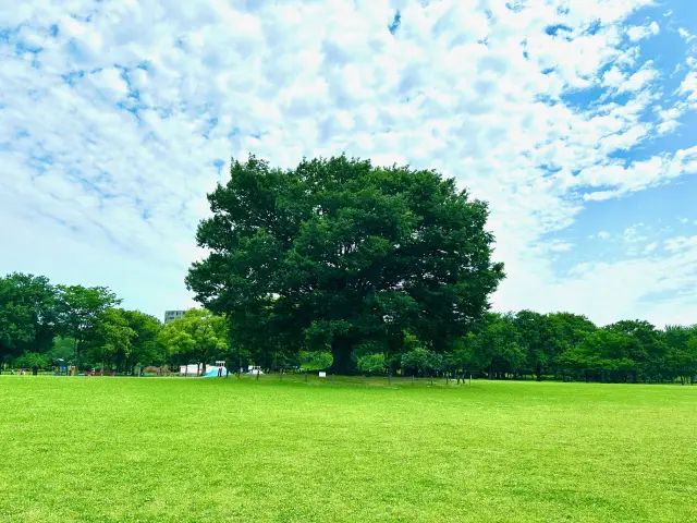 庄内緑地