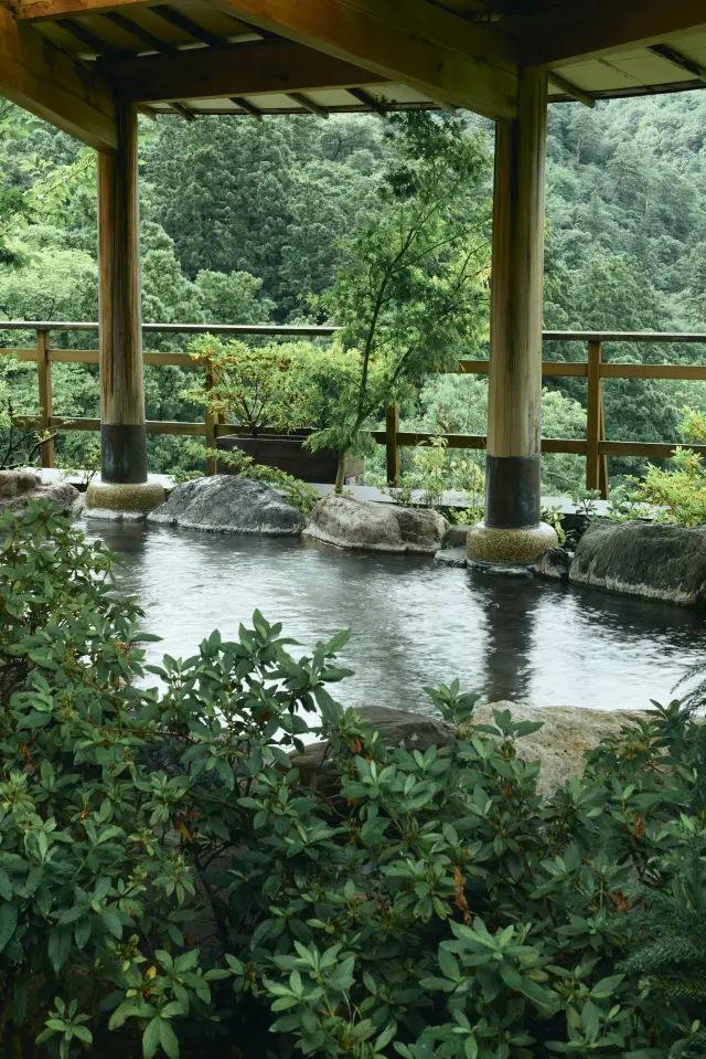 花紫