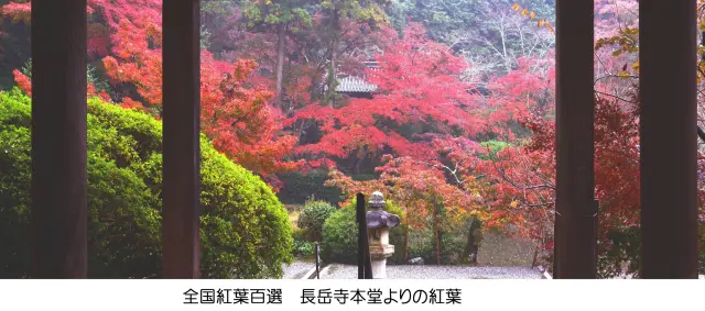 日本紅葉の名所100選（本堂よりの紅葉）