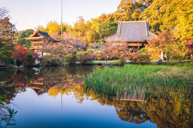 長岳寺