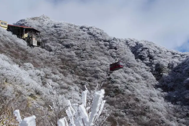 雲仙では「花ぼうろ」と呼ばれる樹氷が山を覆う冬の風景