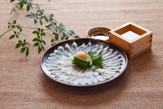 薄造りだが弾力のあるふぐの刺身