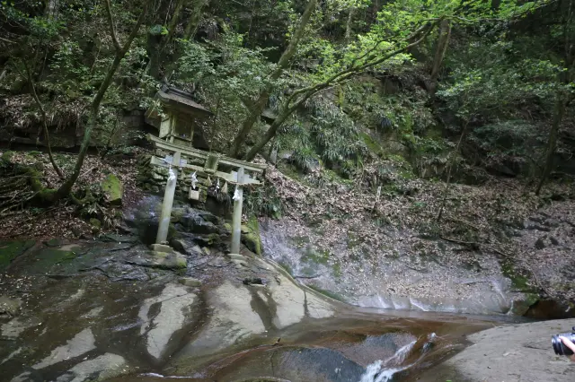 滝壺の両岸には龍鎮神社が佇み、神秘的な空間に