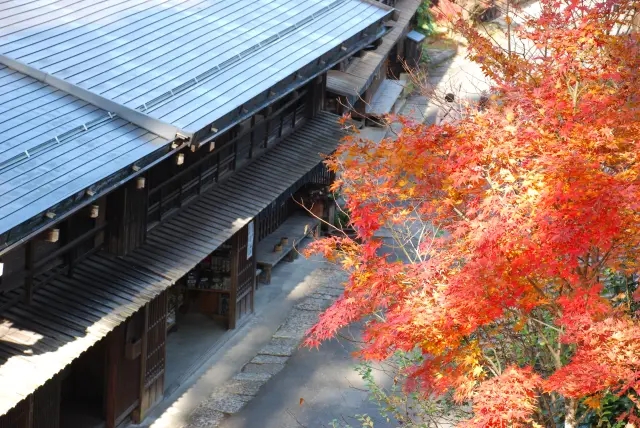 10月下旬から11月中旬にかけて黄や紅に染まる、秋の景色も必見