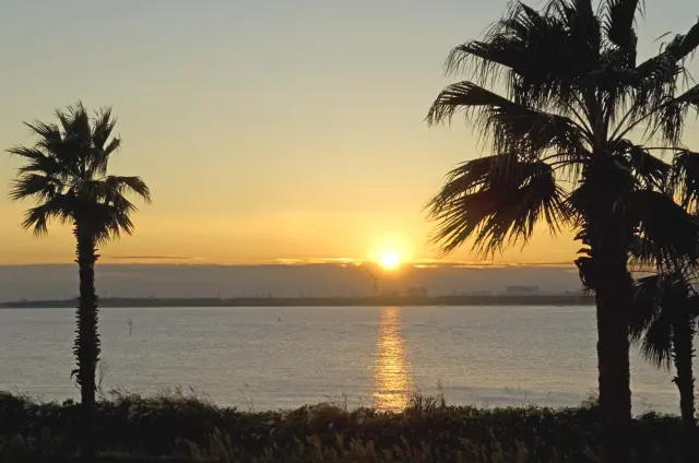 海側の客室からは美しい夕景も見られる