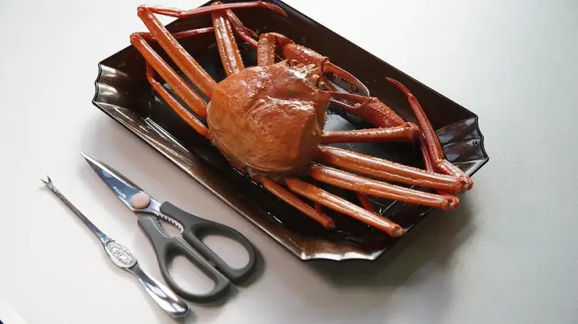 富山県内の漁業者がベニズワイガニを「高志の紅ガニ」と名付けた