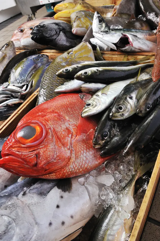 地元鹿児島の旬の地魚を存分に楽しめる