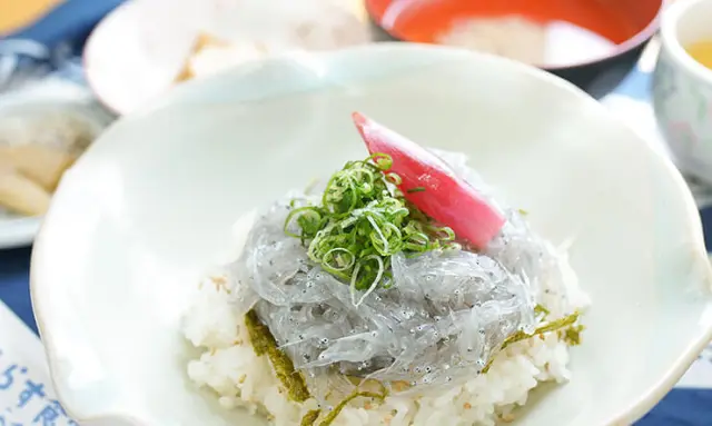 その日獲れた生しらすを使用した「どろめ丼」