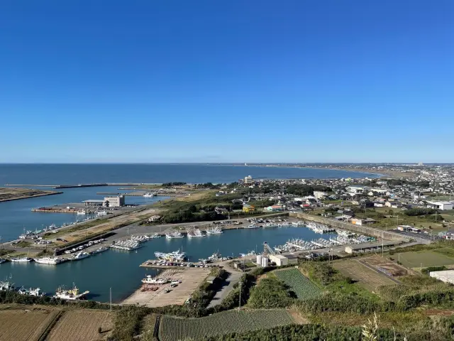 地産の新鮮な海の幸と絶景を同時に楽しめる。