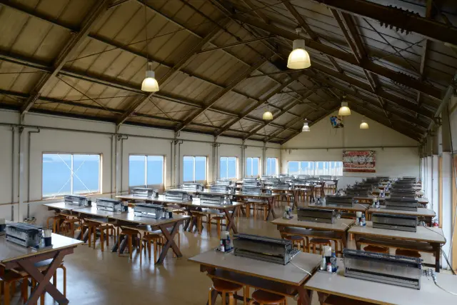 開放的な店内で、海風を感じながら海鮮を楽しめる