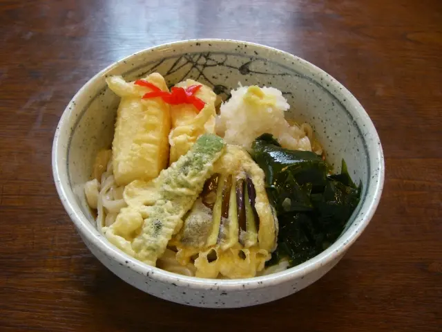 「あげもちおろしうどん」