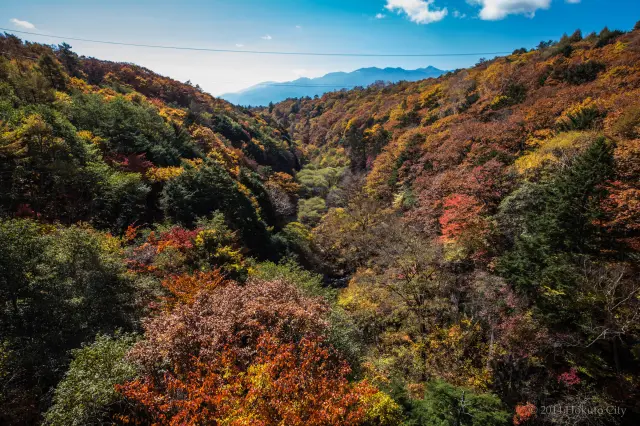 橋の上から渓谷を見下ろすと紅葉が迫ってくるよう