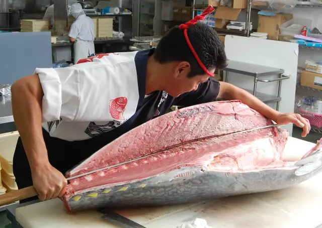 店舗にてマグロ解体ショーを実施